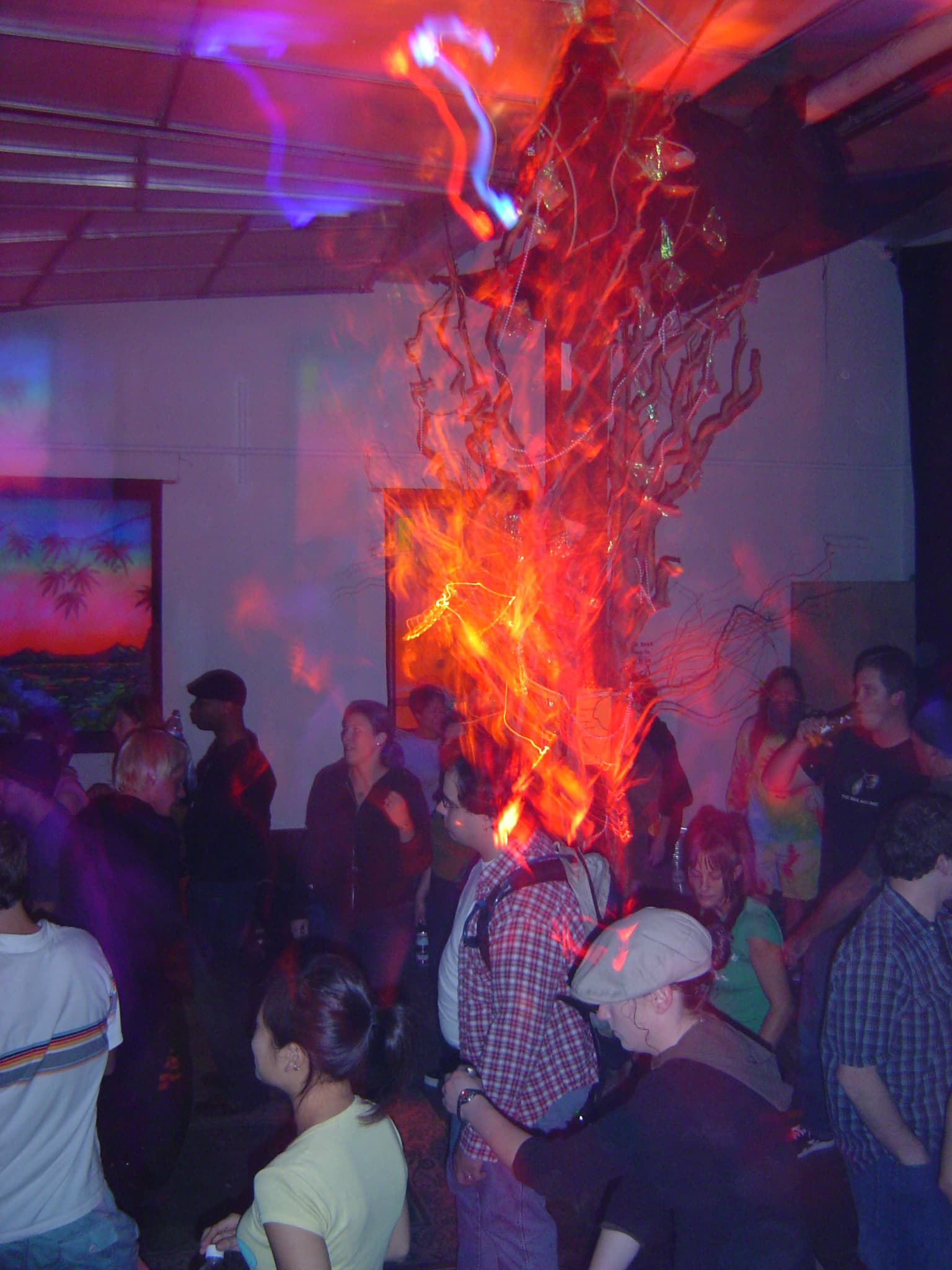 Moksha Tribe gallery photograph 12