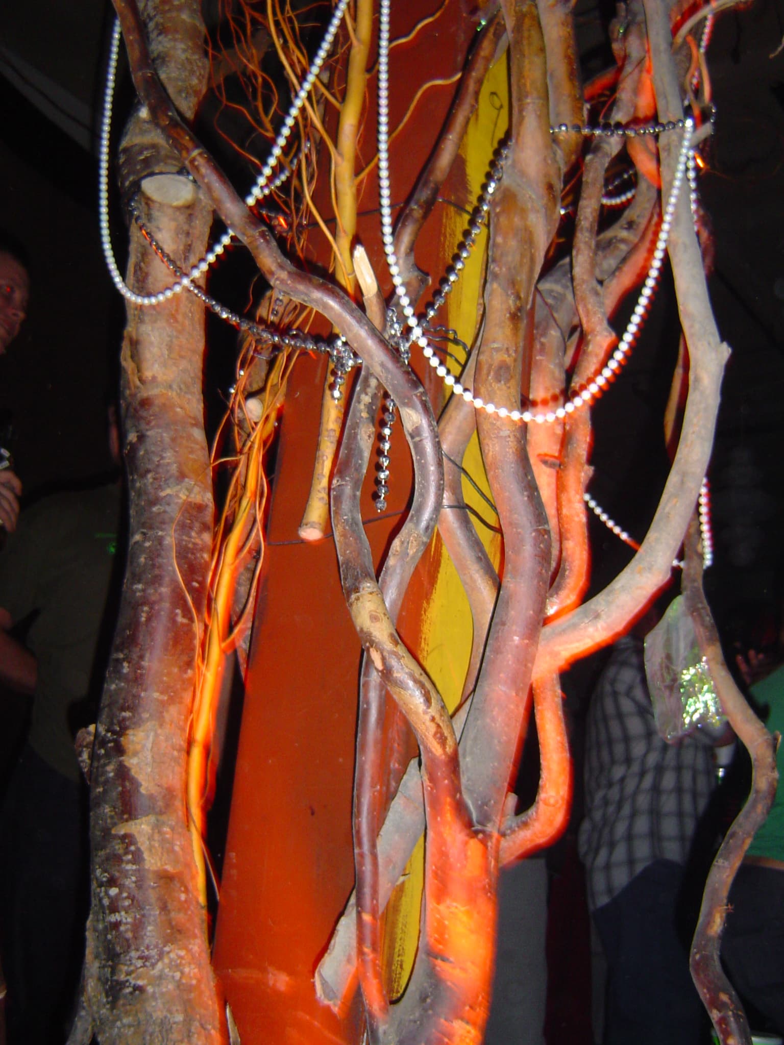 Moksha Tribe gallery photograph 13