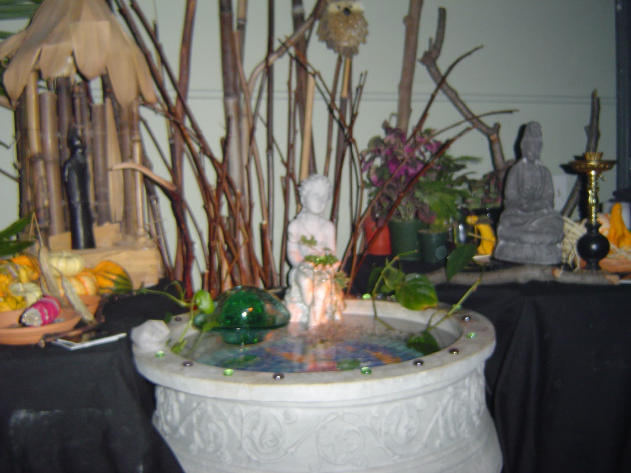 Moksha Tribe gallery photograph 14