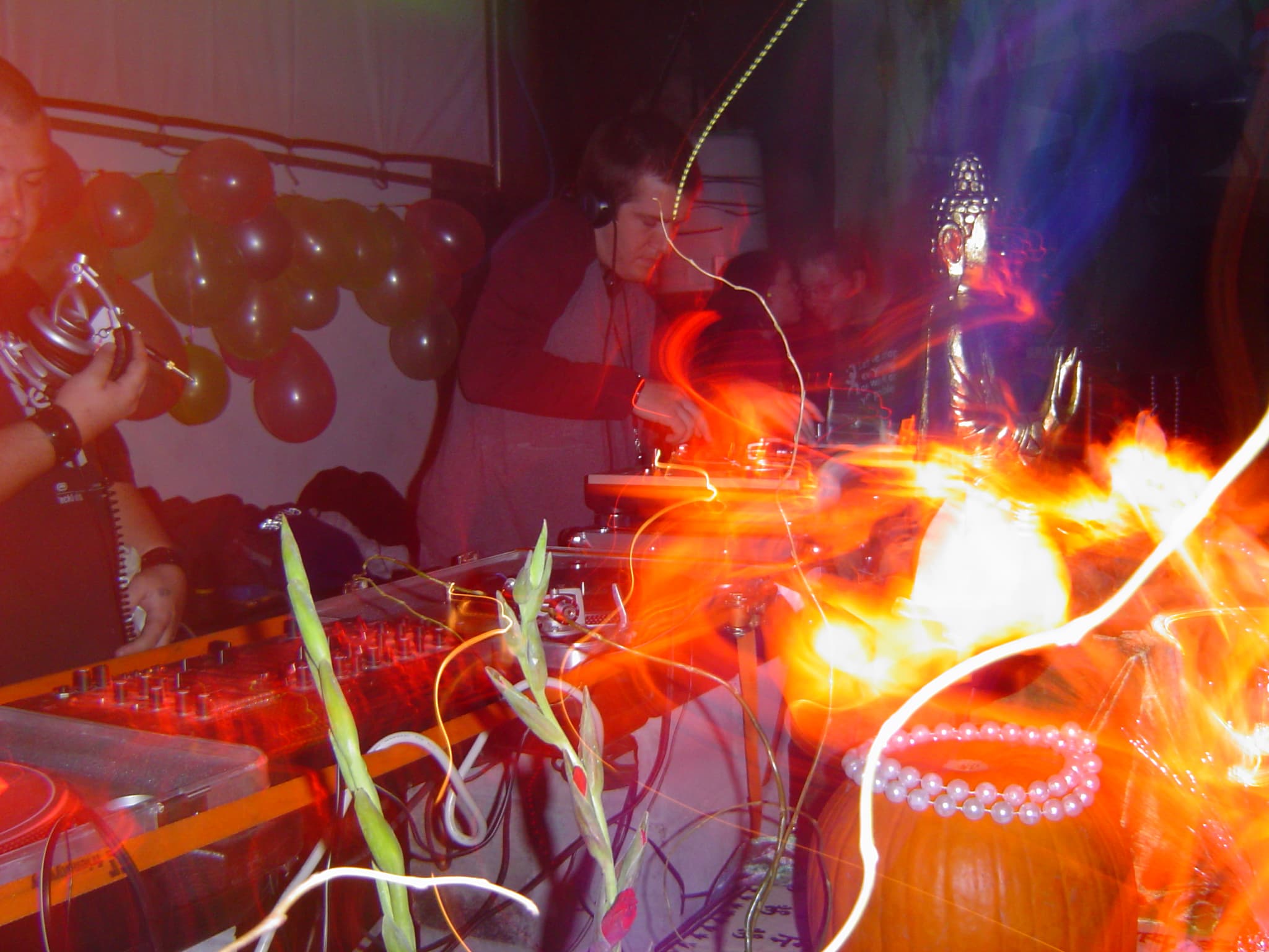 Moksha Tribe gallery photograph 18