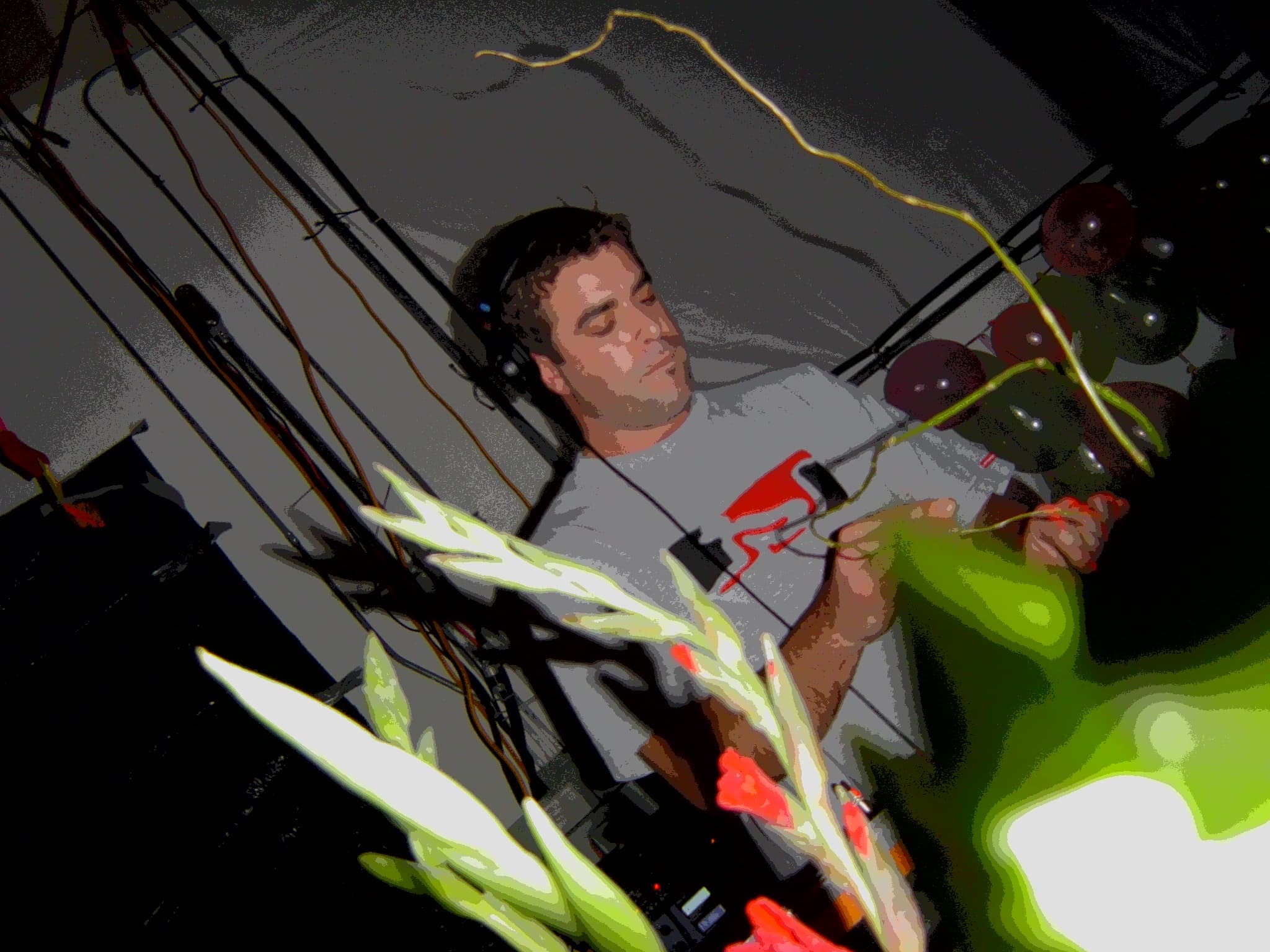 Moksha Tribe gallery photograph 23