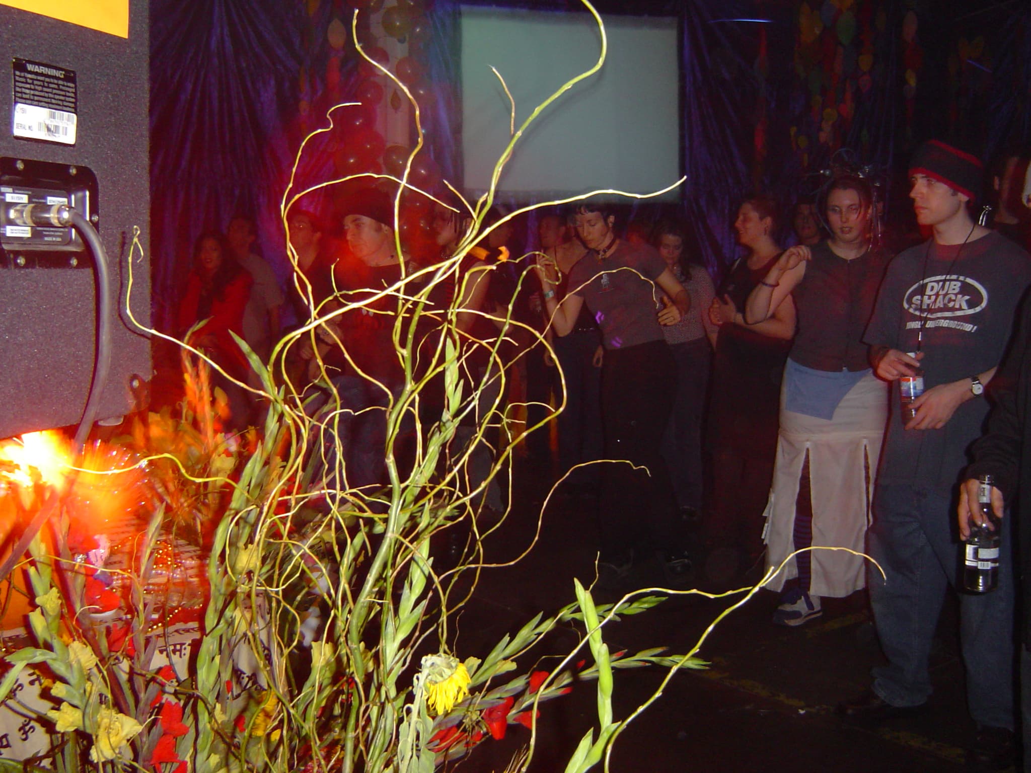 Moksha Tribe gallery photograph 29